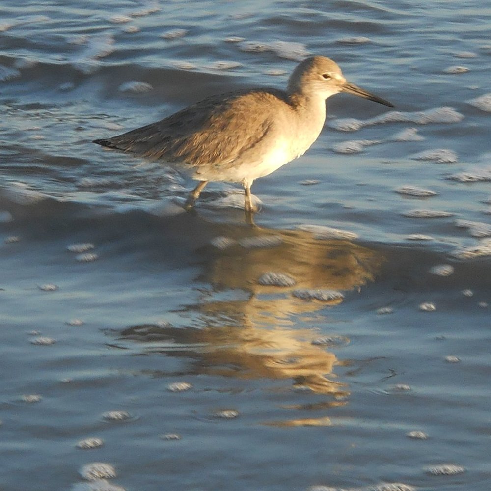 Meet your Posher, Tom